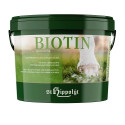 Biotin – biotyna