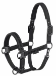 Kantar Eskadron FAUX LEATHER Jewel DP Platinum 26 black X-Full