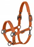 Kantar Eskadron Sparkle DOUBLE PIN Platinum 26 amber Cob