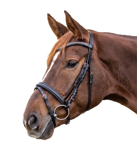 TROK.PL Ogłowie Star Rosemary black/rosegold 1