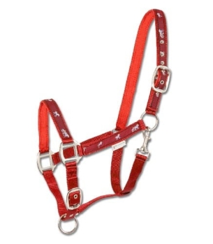 TROK.PL Kantar w koniki Waldhausen red