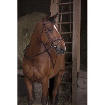 TROK.PL norton-pro-web-reins-with-handles-horses