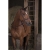 TROK.PL norton-pro-web-reins-with-handles-horses