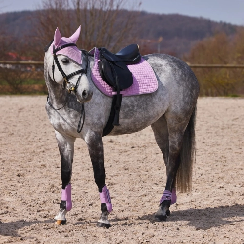 TROK.PL Czaprak Wszechstronny Adepto Horze Dawn pink 1