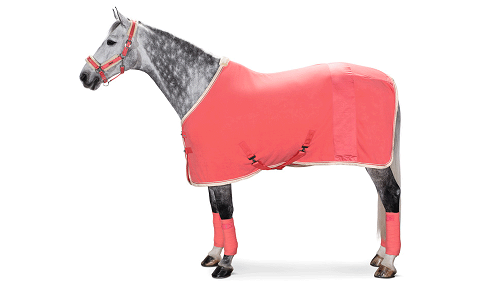 TROK.PL Derka polarowa Eskadron. Kolekcja Classic Sport Fusion Coral XL