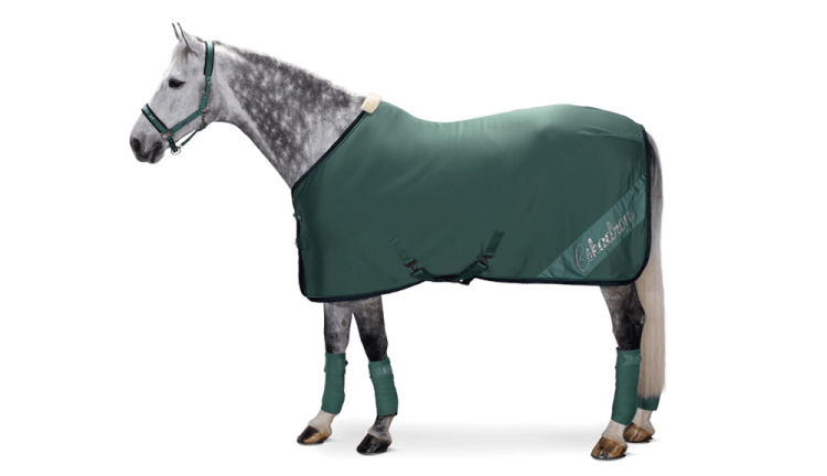 TROK.PL Derka Eskadron Jersey Crystal. Kolekcja Classic Sport Seaphine Green M