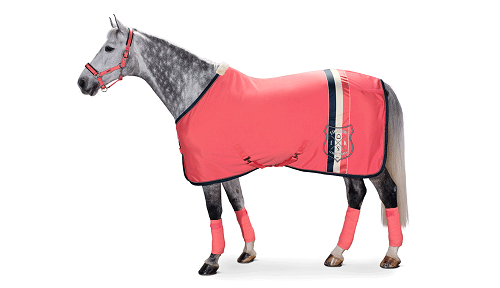 TROK.PL Derka Eskadron Jersey Stripe Fusion Coral M
