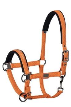 TROK.PL Kantar Eskadron Glossy. Kolekcja Platinum Orange Pony