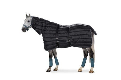 TROK.PL Derka Eskadron Nylon With Neck. Kolekcja Classic Sports Black XL