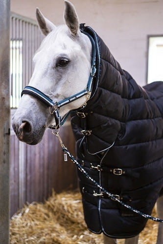 TROK.PL Derka Eskadron Nylon With Neck. Kolekcja Classic Sports Black XL