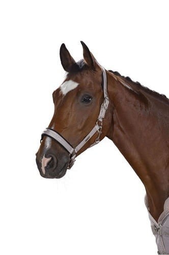 TROK.PL Kantar Eskadron Pin Glossy. Kolekcja Clasic Sports Softgrey Pony