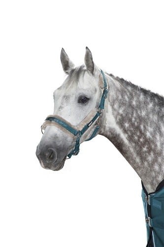 TROK.PL Kantar Eskadron DoublePin Faux Fur Tealblue Pony