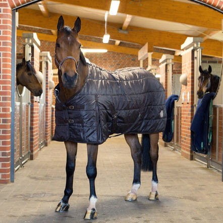 e2bb2ebbb5dbb67f65e64eb078a7000d