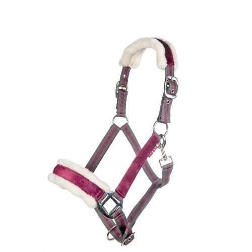 2453aa25b5ddad65b7648cde868719b8