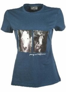 ad451d161cdfd474e5069e2ea80306ec