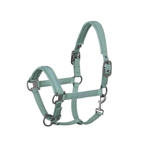 TROK.PL Kantar Eskadron Doublepin Glossy Crystal CS balsam green