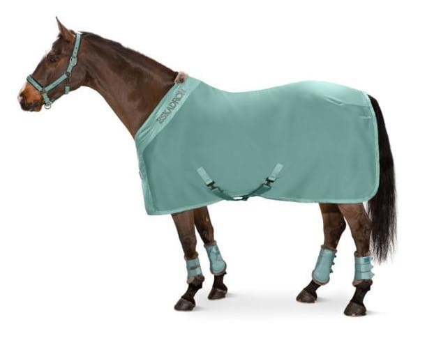 09076a5d23f8e1072c32f72f241b6822