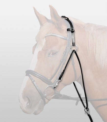 434448e691b5288dedae956484b762d5