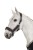 TROK.PL Kantar Eskadron Doublepin Glossy Faux Fur Navy Pony