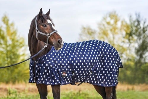 e26a38984d538bcabab0e89a3d7513b8