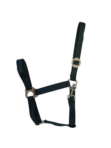 d4cc99e801da651627aa80458c05596e