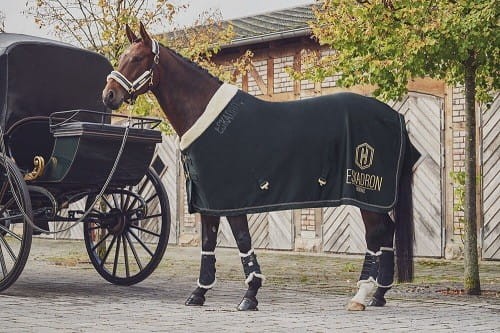 TROK.PL Derka Eskadron SOFTSHELL FAUXFUR Heritage Antique Green M