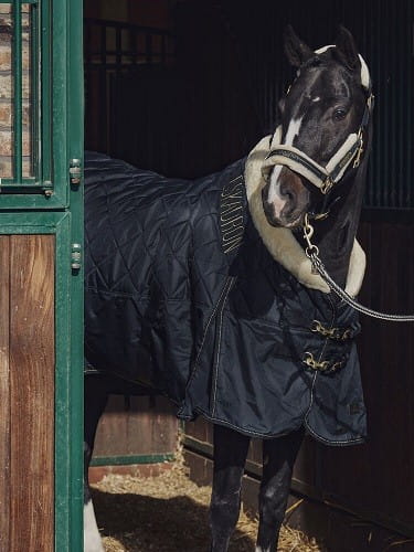 TROK.PL Derka Eskadron STABLE FAUXFUR, 150g Heritage Antique Green XL