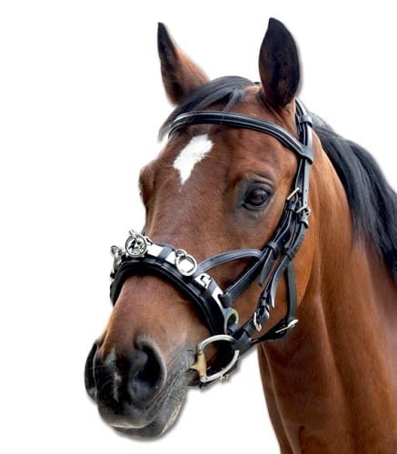 TROK.PL Kawecan skórzany Waldhausen black