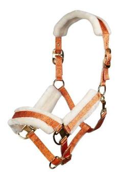 TROK.PL Kantar HKM Allure Orange Cob