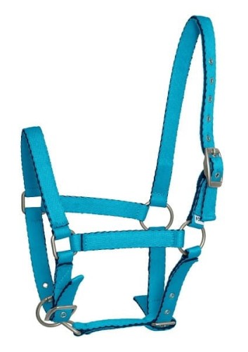 TROK.PL Kantar dla źrebaka API BABY błękitny