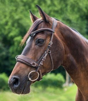 TROK.PL Kawecan anatomiczny Waldhausen black 1