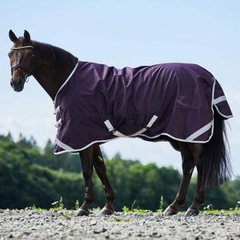 TROK.PL Derka padokowa Horze Turin 150gr Fioletowy 155 cm