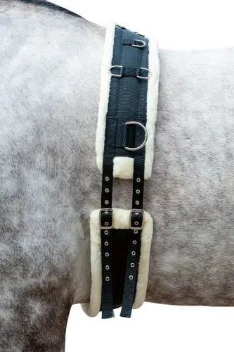 TROK.PL Pas do lonżowania z misiem HKM black