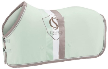TROK.PL Derka polarowa Eskadron FLEECE STRIPE Classic Sports 24 powder green