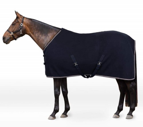 c101df189fbc2496883b224ed9569880