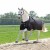 TROK.PL Derka Alaska IV fleece KAVALKADE black