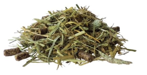 TROK.PL PAVO-SeniorFibre-pasza-600x306 2.jpeg