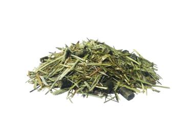 TROK.PL PAVO-DailyPlus-12-kg 1