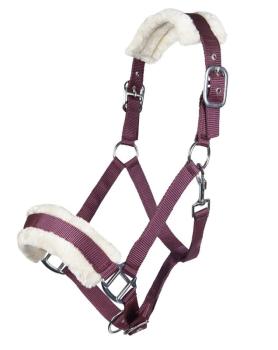 TROK.PL Kantar HKM Bischofshofen Bordeaux