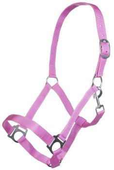 TROK.PL Kantar Insbruk HKM pink.jpg