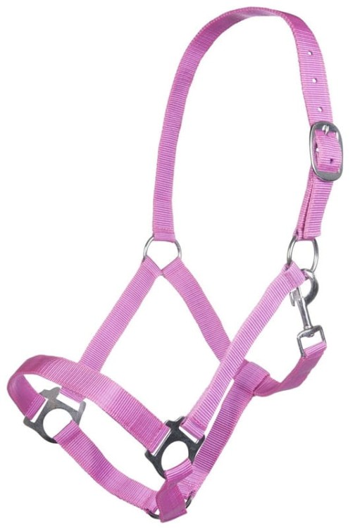 TROK.PL Kantar Insbruk HKM pink.jpg