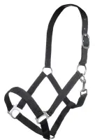 Kantar HKM Innsbruck black Pony