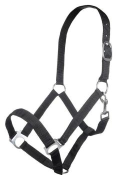 TROK.PL Kantar HKM Inssbruck black.jpg