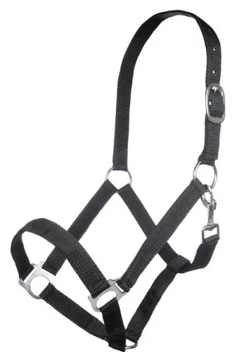 TROK.PL Kantar HKM Inssbruck black.jpg