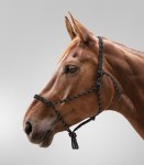 Kantar sznurkowy waldhausen black/brown Cob