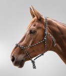 Halter Kantar sznurkowy waldhausen black/white Full