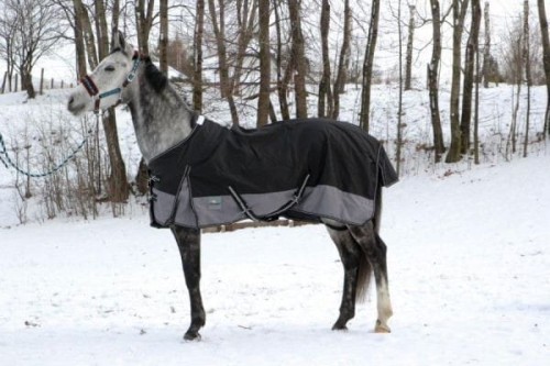 TROK.PL Derka padokowa 2-kolorowa START black/grey