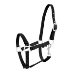 Kantar York źrebięcy black