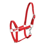 Kantar York źrebięcy red