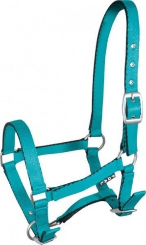 TROK.PL Kantar York zrebiecy Tobi turkusowy